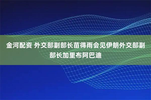 金河配资 外交部副部长苗得雨会见伊朗外交部副部长加里布阿巴迪