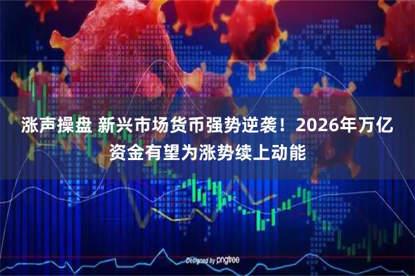 涨声操盘 新兴市场货币强势逆袭！2026年万亿资金有望为涨势续上动能