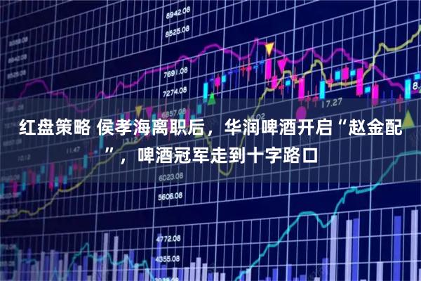 红盘策略 侯孝海离职后，华润啤酒开启“赵金配”，啤酒冠军走到十字路口